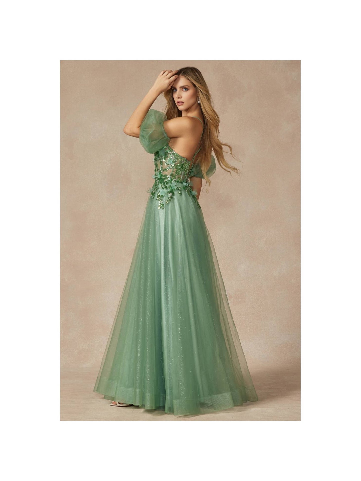 Sequin Butterfly Embroidered with Boned Bodice Prom Gown
